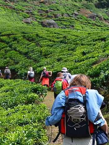 Munnar Adventure Munnar Adventure