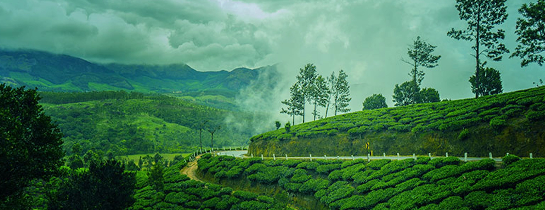 Budget-Friendly Tourist Attractions in Munnar