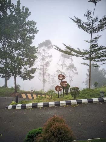 Best Ayurvedic Resorts in Munnar