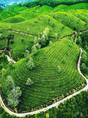 Hidden Beauty Of KSRTC View Point In Munnar
