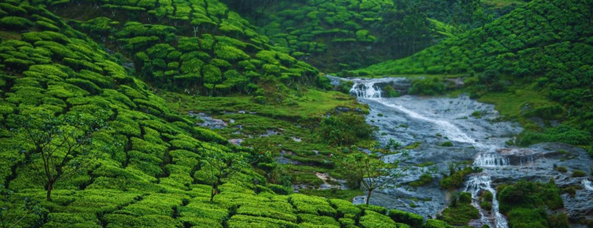 The Ultimate Summer Destination for Refreshing Water Spots