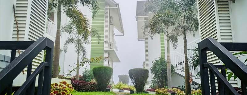 Best Things to Do in Munnar During the Monsoon Season
